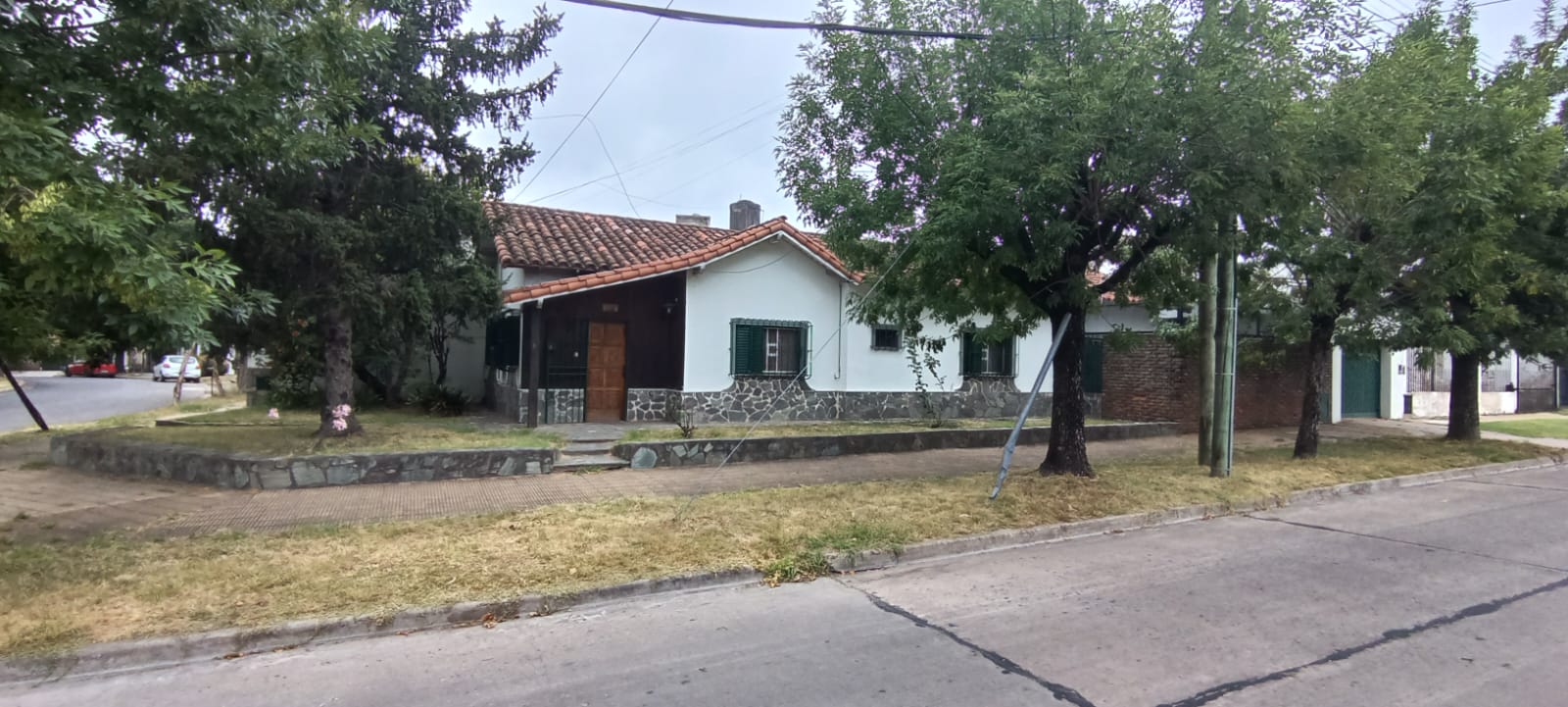 WhatsApp Image 2026-02-06 at 11.17.52