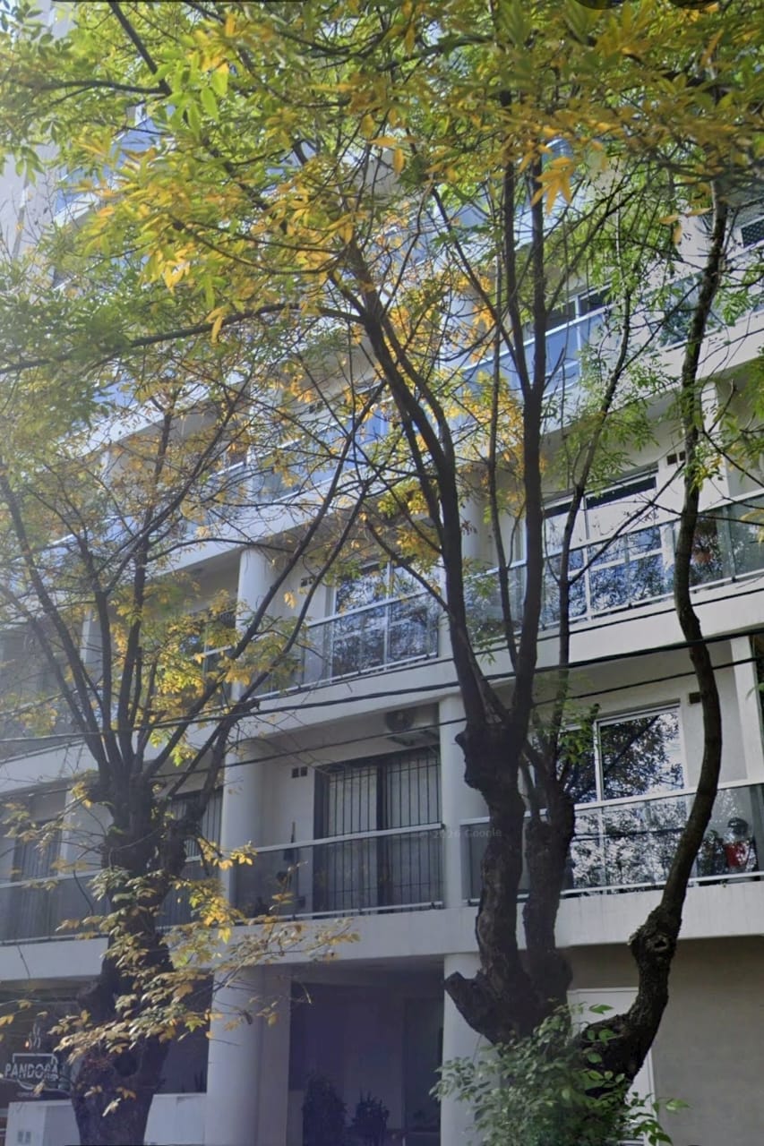 WhatsApp Image 2026-02-20 at 18.23.11